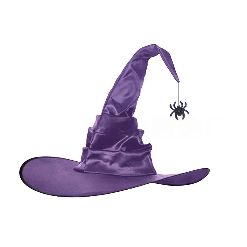 Womens Halloween Witch Hat with Spider Decoration